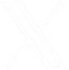 X (Twitter)